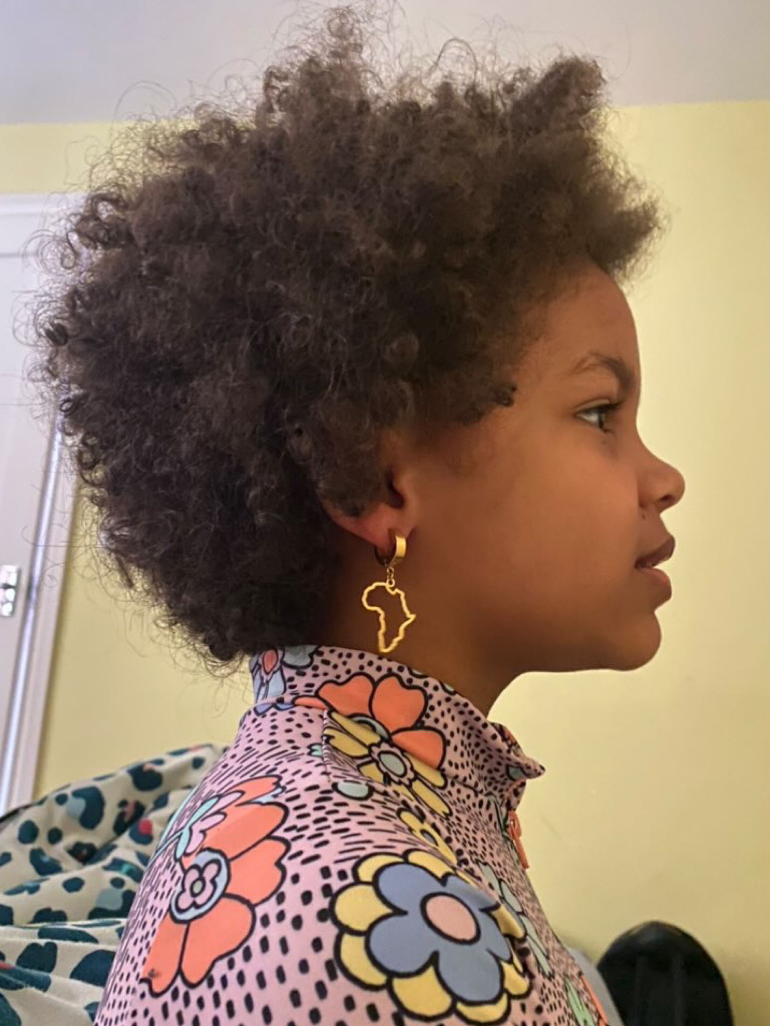 Africa dangle earrings